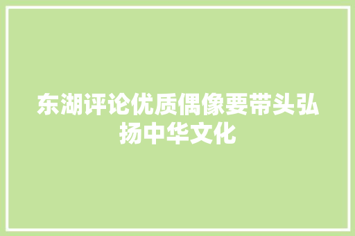 东湖评论优质偶像要带头弘扬中华文化