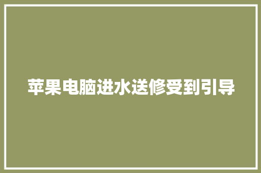 苹果电脑进水送修受到引导