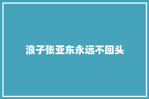 浪子张亚东永远不回头