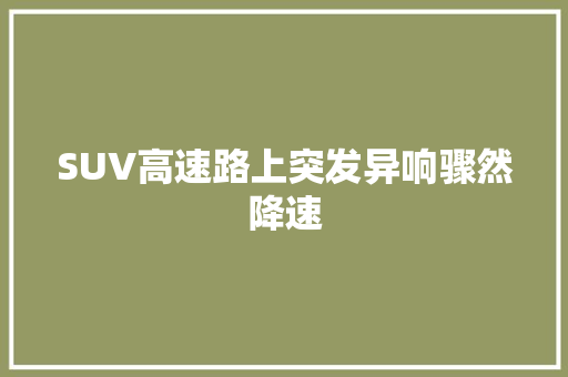 SUV高速路上突发异响骤然降速