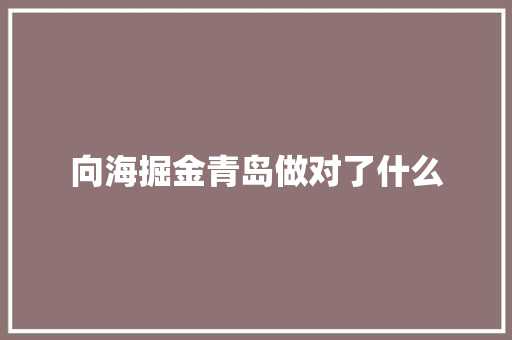 向海掘金青岛做对了什么