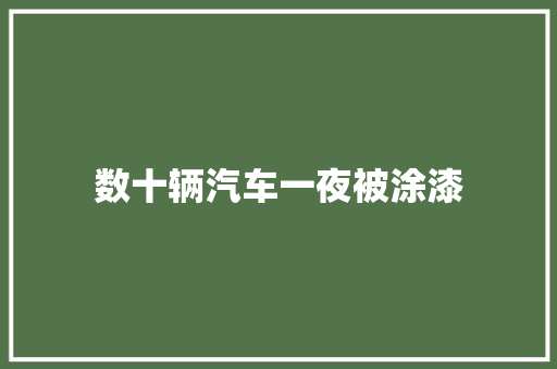 数十辆汽车一夜被涂漆