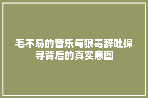 毛不易的音乐与狠毒辞吐探寻背后的真实意图