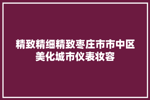 精致精细精致枣庄市市中区美化城市仪表妆容