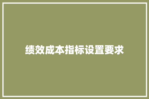 绩效成本指标设置要求