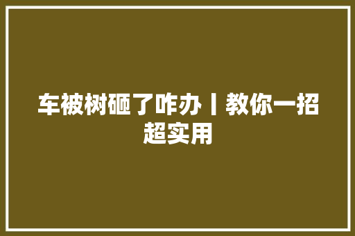车被树砸了咋办丨教你一招超实用