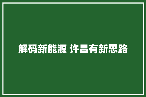 解码新能源 许昌有新思路