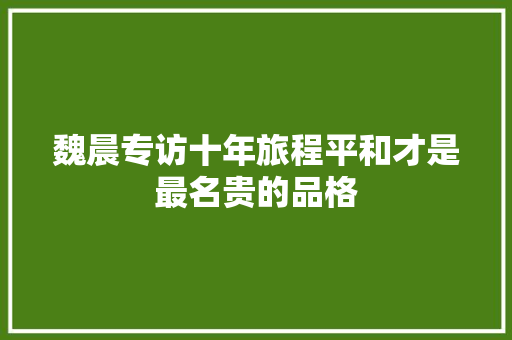 魏晨专访十年旅程平和才是最名贵的品格