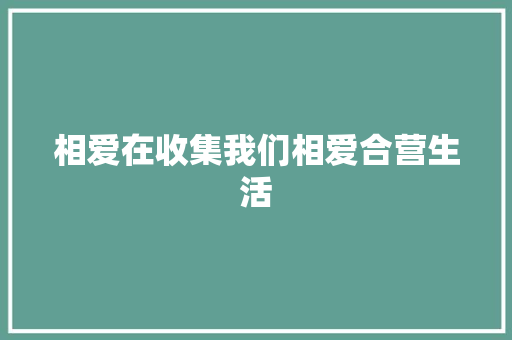 相爱在收集我们相爱合营生活