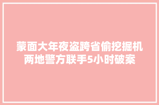 蒙面大年夜盗跨省偷挖掘机两地警方联手5小时破案