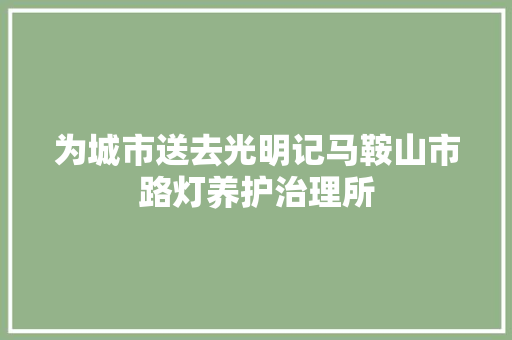 为城市送去光明记马鞍山市路灯养护治理所 汽车知识