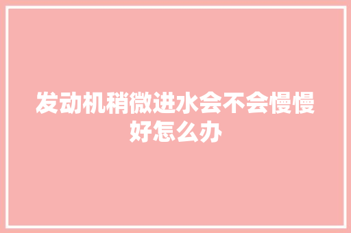 发动机稍微进水会不会慢慢好怎么办