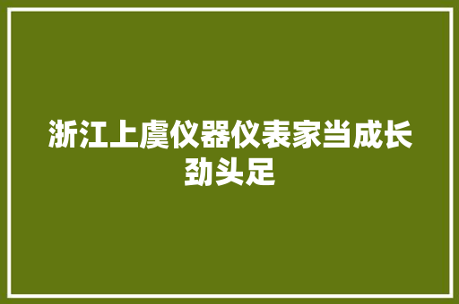 浙江上虞仪器仪表家当成长劲头足
