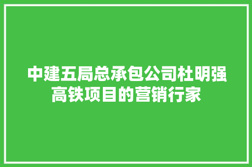 中建五局总承包公司杜明强高铁项目的营销行家