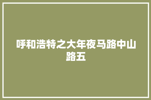 呼和浩特之大年夜马路中山路五