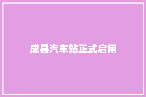 成县汽车站正式启用