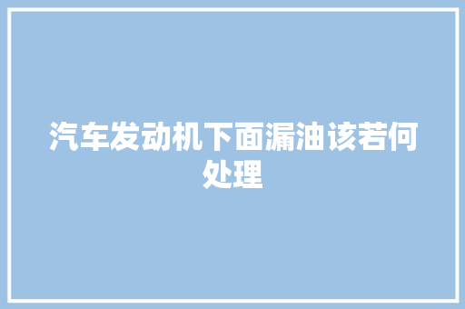 汽车发动机下面漏油该若何处理