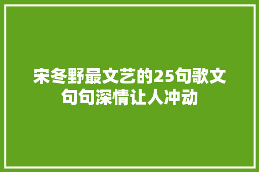 宋冬野最文艺的25句歌文句句深情让人冲动