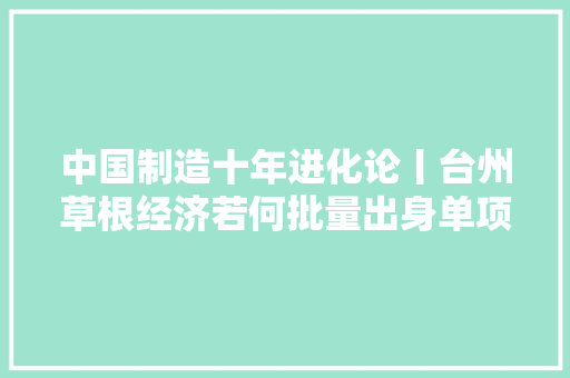 中国制造十年进化论丨台州草根经济若何批量出身单项冠军