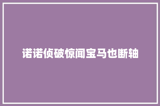 诺诺侦破惊闻宝马也断轴