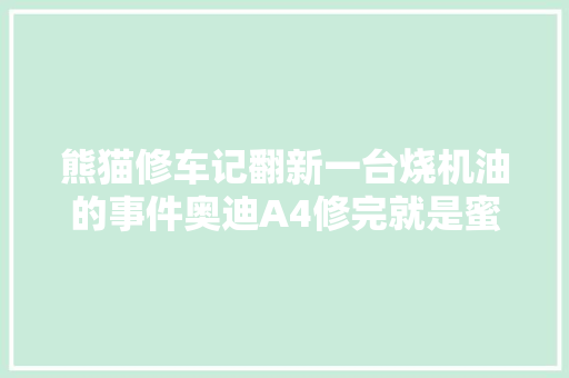 熊猫修车记翻新一台烧机油的事件奥迪A4修完就是蜜斯姐一手车