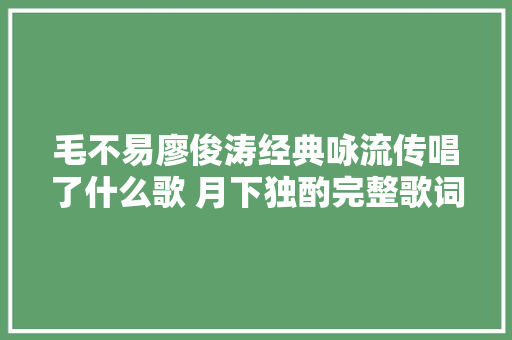 毛不易廖俊涛经典咏流传唱了什么歌 月下独酌完整歌词介绍
