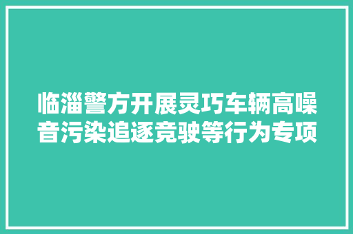 临淄警方开展灵巧车辆高噪音污染追逐竞驶等行为专项整治