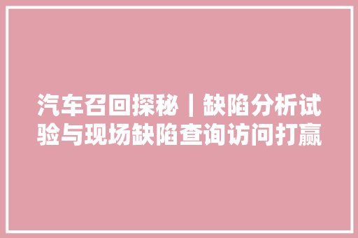 汽车召回探秘｜缺陷分析试验与现场缺陷查询访问打赢双枪之战