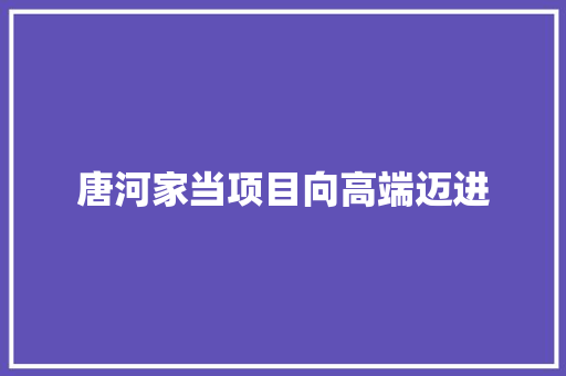 唐河家当项目向高端迈进