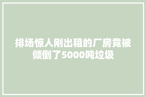 排场惊人刚出租的厂房竟被倾倒了5000吨垃圾