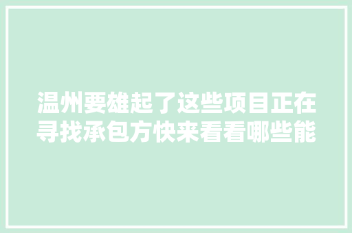 温州要雄起了这些项目正在寻找承包方快来看看哪些能做