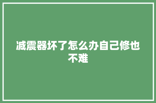 减震器坏了怎么办自己修也不难