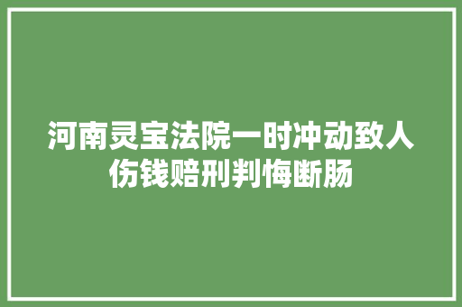 河南灵宝法院一时冲动致人伤钱赔刑判悔断肠