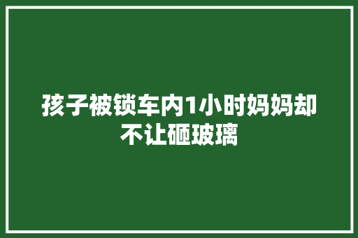 孩子被锁车内1小时妈妈却不让砸玻璃