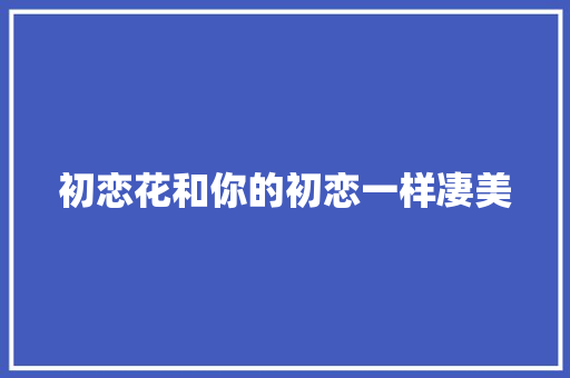 初恋花和你的初恋一样凄美