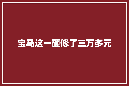 宝马这一砸修了三万多元