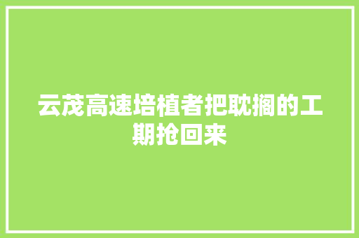云茂高速培植者把耽搁的工期抢回来