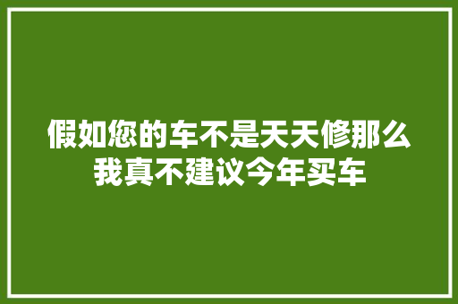 假如您的车不是天天修那么我真不建议今年买车