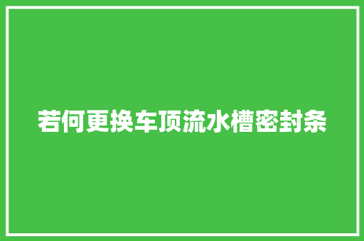 若何更换车顶流水槽密封条