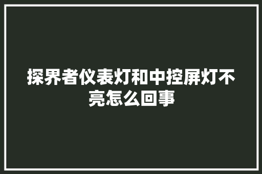 探界者仪表灯和中控屏灯不亮怎么回事
