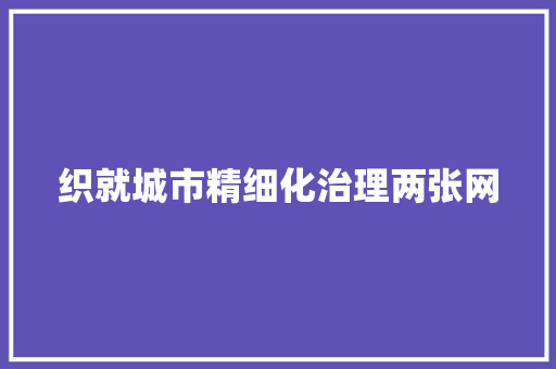 织就城市精细化治理两张网