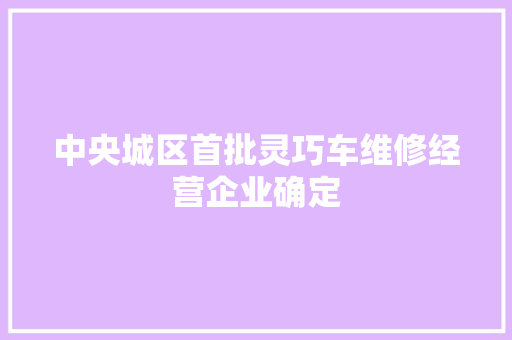 中央城区首批灵巧车维修经营企业确定