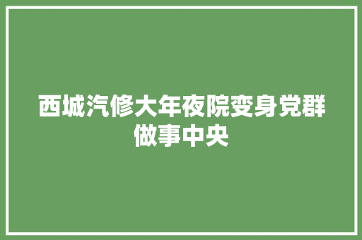 西城汽修大年夜院变身党群做事中央