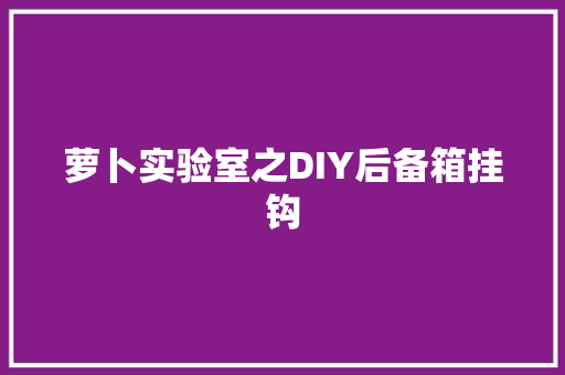 萝卜实验室之DIY后备箱挂钩
