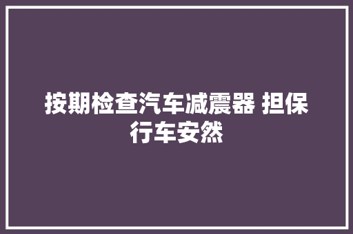 按期检查汽车减震器 担保行车安然
