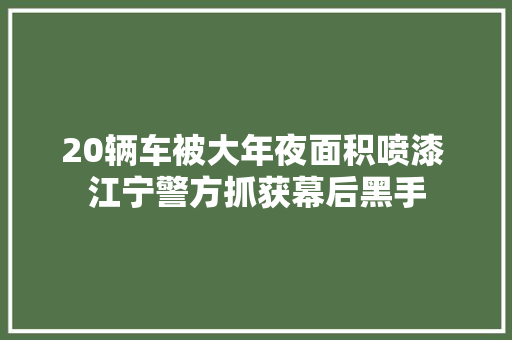 20辆车被大年夜面积喷漆 江宁警方抓获幕后黑手