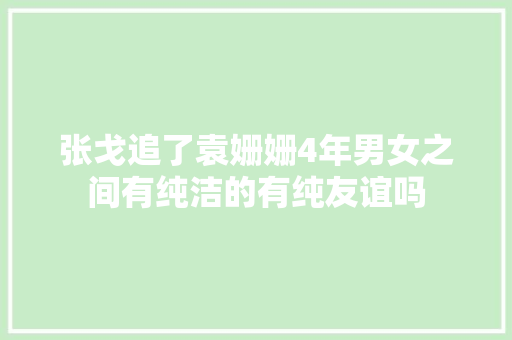 张戈追了袁姗姗4年男女之间有纯洁的有纯友谊吗