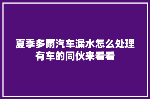 夏季多雨汽车漏水怎么处理有车的同伙来看看