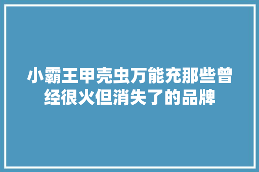 小霸王甲壳虫万能充那些曾经很火但消失了的品牌