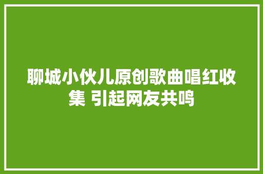 聊城小伙儿原创歌曲唱红收集 引起网友共鸣